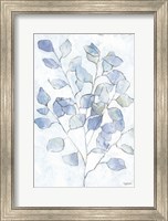 Cool Eucalyptus Fine Art Print