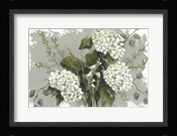 Hydrangeas in White Fine Art Print