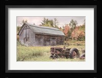 Another Year Older Fine Art Print