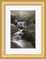 Rickett's Waterfall Fine Art Print