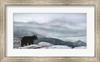Cascade Mountain Bear Fine Art Print