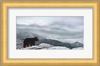 Cascade Mountain Bear Fine Art Print