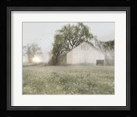 Green Country Morning Fine Art Print