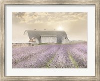 Lavender Morning Fine Art Print