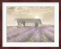 Lavender Morning Fine Art Print