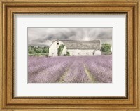 Shades of Lavender and Gray Fine Art Print