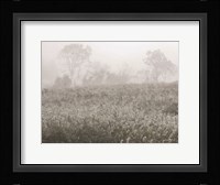 Dreamy Field Fine Art Print