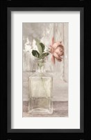 Cottage Peach Rose Fine Art Print