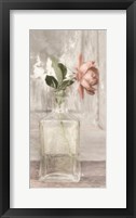 Cottage Peach Rose Fine Art Print