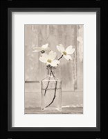 Dogwood Blossoms Fine Art Print