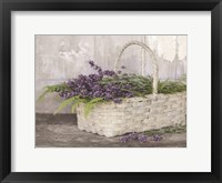 My Lavender Fine Art Print