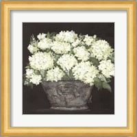 Snowball Hydrangea Pail Fine Art Print