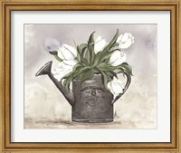 Watering Can Tulips Fine Art Print