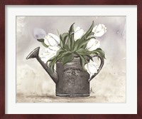 Watering Can Tulips Fine Art Print