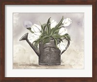 Watering Can Tulips Fine Art Print