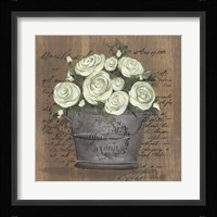Heavenly Roses Framed Print