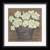 Heavenly Hydrangeas II Framed Print