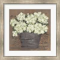 Heavenly Hydrangeas II Fine Art Print