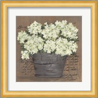 Heavenly Hydrangeas II Fine Art Print