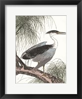 Perched Heron Fine Art Print