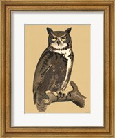 Great Owl Fine Art Print