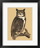 Great Owl Fine Art Print