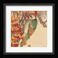 Autumn's Bounty 10 Framed Print
