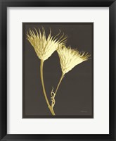 Forms in Nature 2 Framed Print