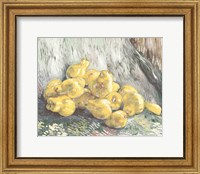 Pile of Pears Fine Art Print