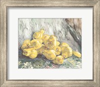 Pile of Pears Fine Art Print