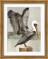 Brown Pelican 2 Fine Art Print