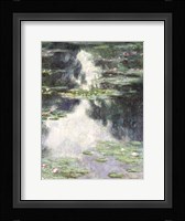 Water Lilies Fine Art Print