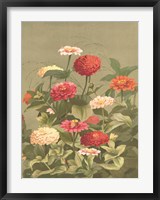 Antique Botanical Collection 1 Fine Art Print