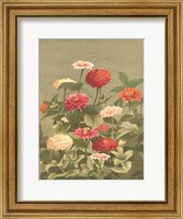 Antique Botanical Collection 1 Fine Art Print