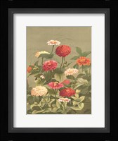 Antique Botanical Collection 1 Fine Art Print