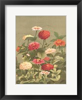 Antique Botanical Collection 1 Framed Print