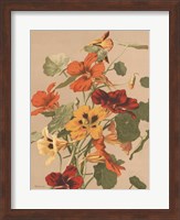 Antique Botanical Collection 2 Fine Art Print