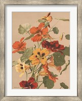 Antique Botanical Collection 2 Fine Art Print