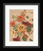 Antique Botanical Collection 2 Fine Art Print