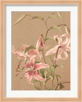 Antique Botanical Collection 3 Fine Art Print