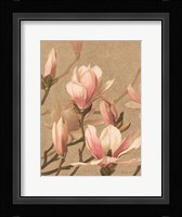 Antique Botanical Collection 4 Framed Print