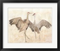 Sandhill Cranes 1 Fine Art Print