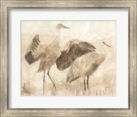 Sandhill Cranes 2 Fine Art Print