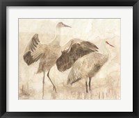 Sandhill Cranes 2 Fine Art Print