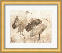 Sandhill Cranes 2 Fine Art Print