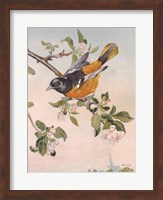 Spring Song Bird Fine Art Print
