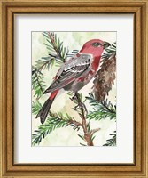 Bird and Branch 1 Fine Art Print