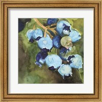 Blueberries 1 Fine Art Print