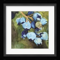 Blueberries 1 Framed Print