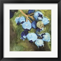 Blueberries 1 Fine Art Print